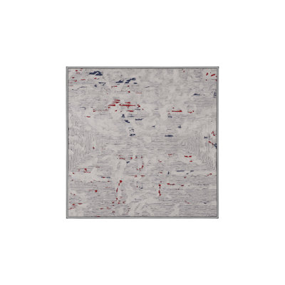 Machine Washable Grey Area Rug