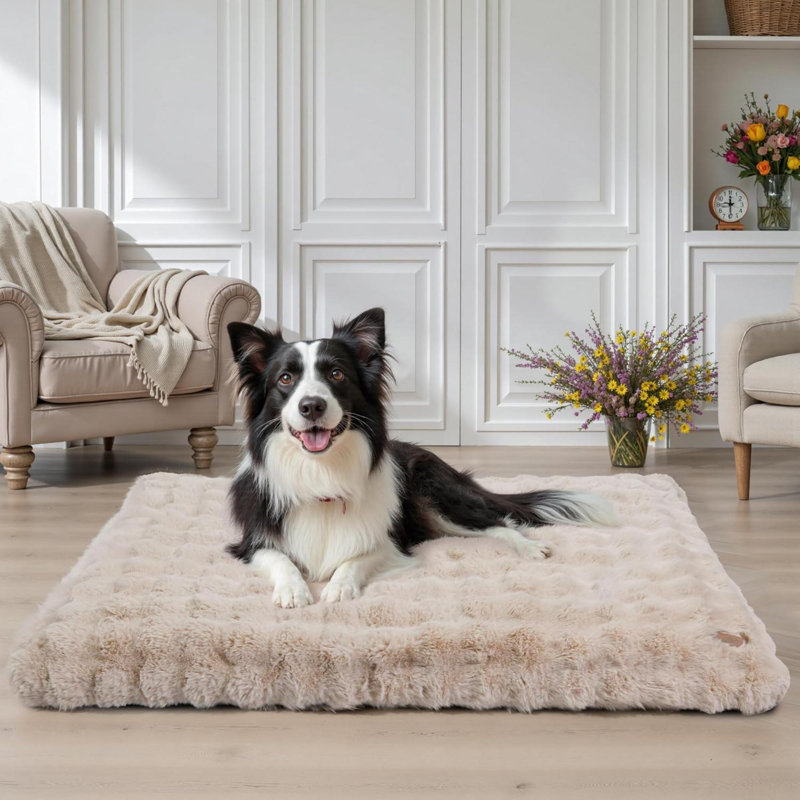 Pet Bed