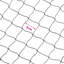 Filet Crop Orchard-1682805124