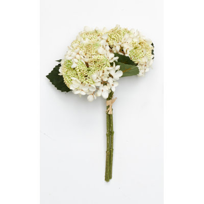Hydrangea Bouquet