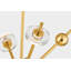 MAYNARD 8 Light Chandelier