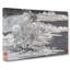 Landscape Vol.10 by Gong Xian - Wrapped Canvas-55365613
