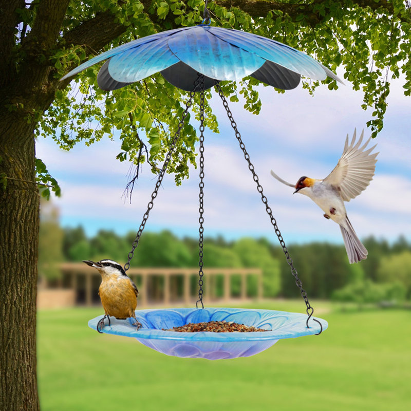 Mangeoire à oiseaux Niculae Tray