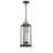 Tushara 4 - Light Outdoor Hanging Lantern