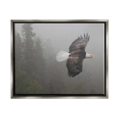 Ax-625-Giclee " Soaring Eagle In Nature "