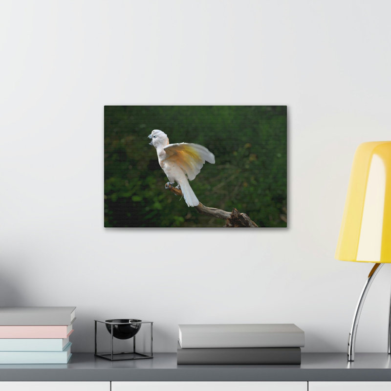 Majestic Cockatoo Print Animal Wall Art, 11" H x 14" W