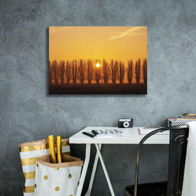  «Tree Row Sunrise» par Martin Podt, art mural sur toile, 26 po x 18 po