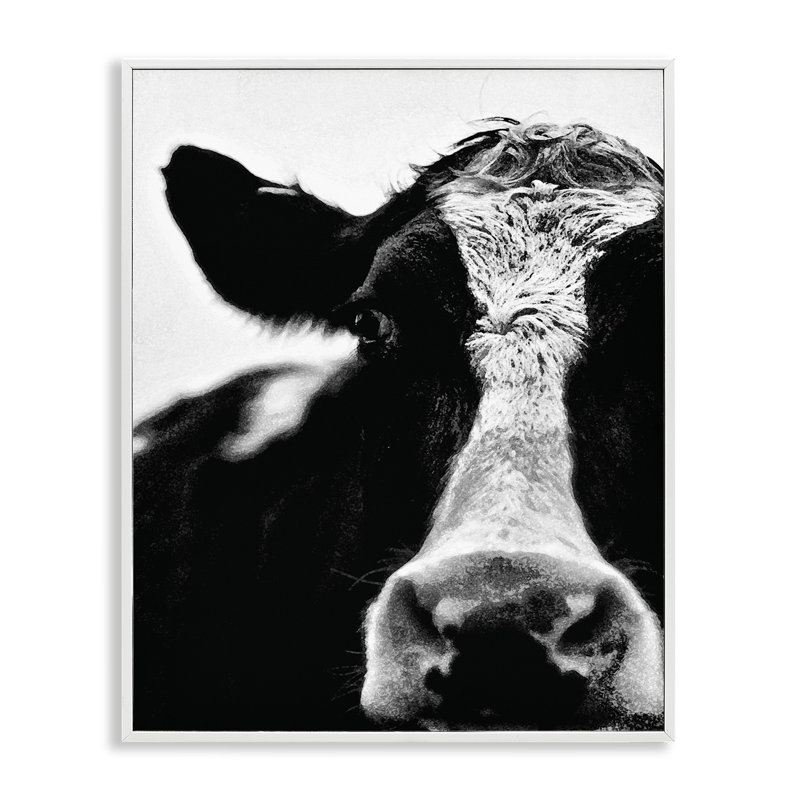 «Cow Close Up», reproduction de photo, Giclée encadrée noir minuit, H 14 po x l 11 po