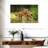 Brampt Fox Kits-107847485