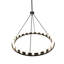 24 - Light Chandelier