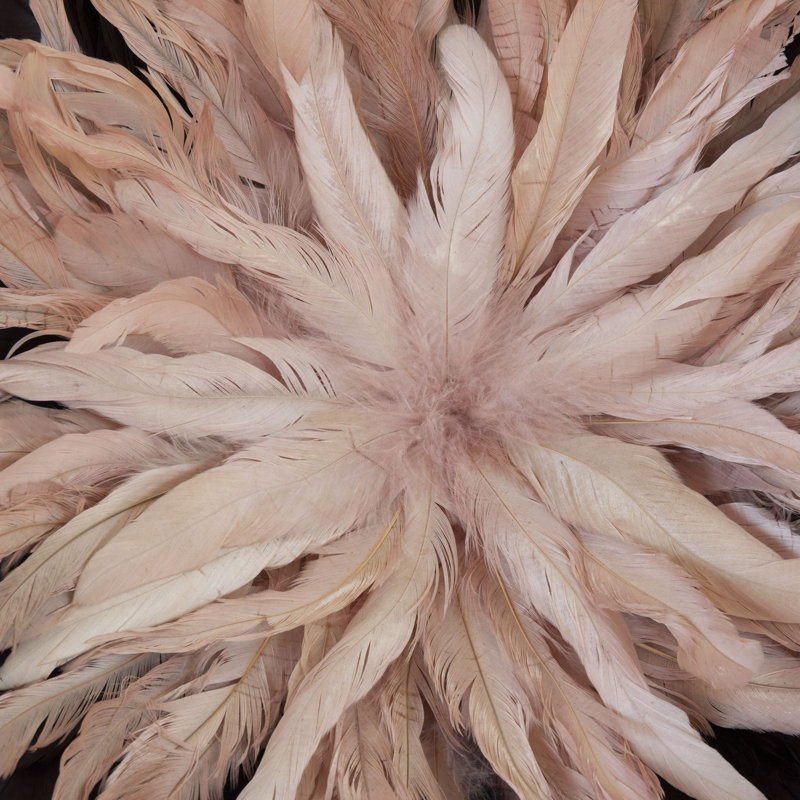 Décoration murale Juju Hat Feather, Brun / or rose, H 24 po x l 24 po x P 4 po