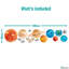 Solar System Wall Sticker