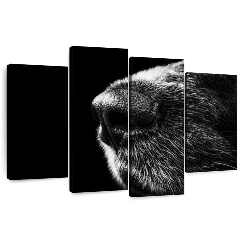 Brampt Dog's Nose, 42" H x 68" W