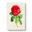 Illustration of a Red Rose - Wrapped Canvas-55359484