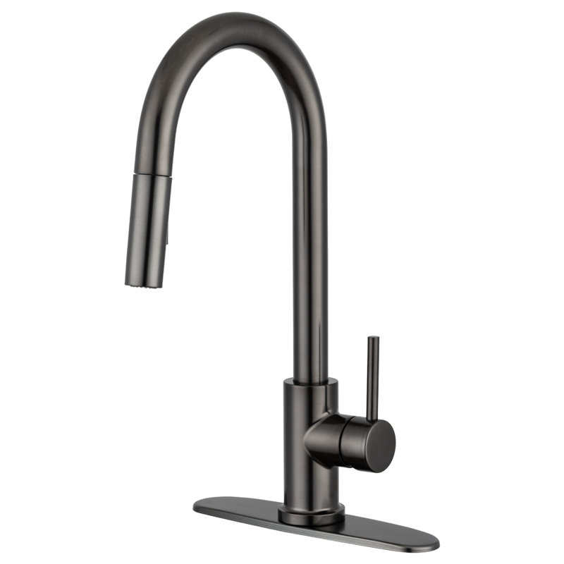 Pacific Bay Bellevue Pull Down Kitchen Faucet