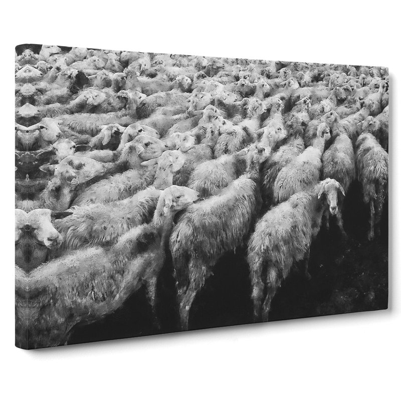 Flock Of Sheep Vol.1 - Wrapped Canvas, 35cm H x 50cm W x 3cm D