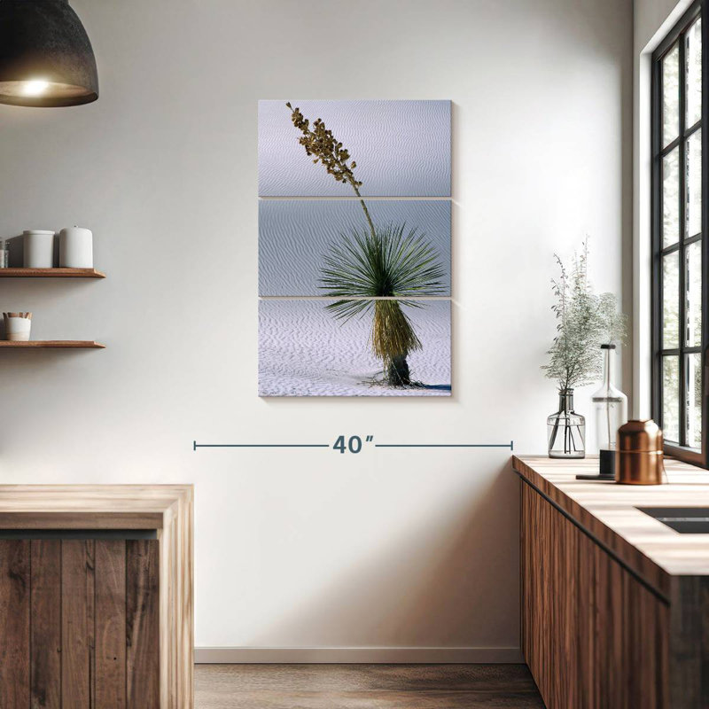 Succulent Harnek Yucca, H 65 po x l 42 po