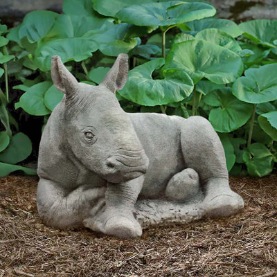 White Rhinoceros Calf