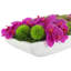 Orchidée Adelina et arrangement de plantes grasses-1665462800
