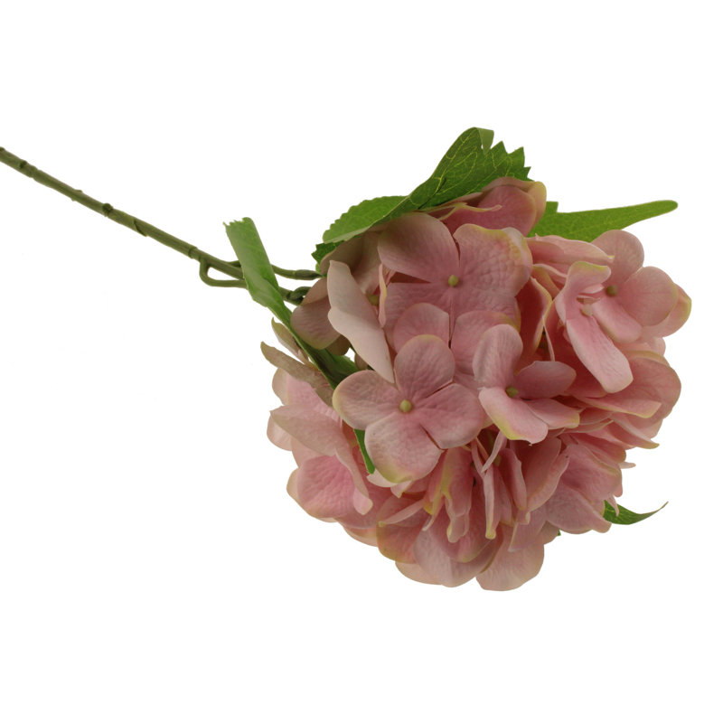 Hydrangea Arrangement, Pink