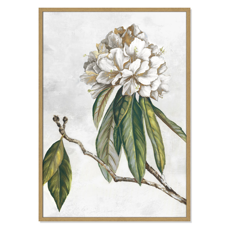 «Pearly Beauty II» par Eva Watts, Grain de bois naturel, L 29,5 po x H 41,5 po, Impression encadrée