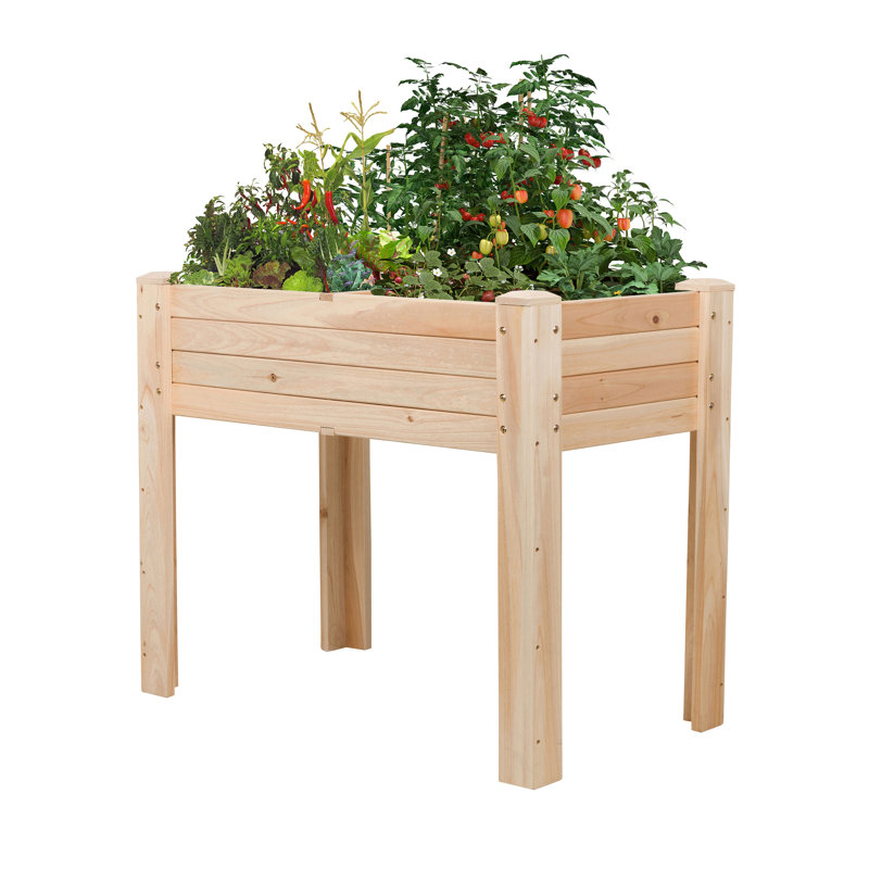 Lit de jardin surélevé Tation avec doublure et trous de drainage, H 30 po x l 36 po x P 20 po