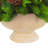Evergreen Centerpiece with Pinecones