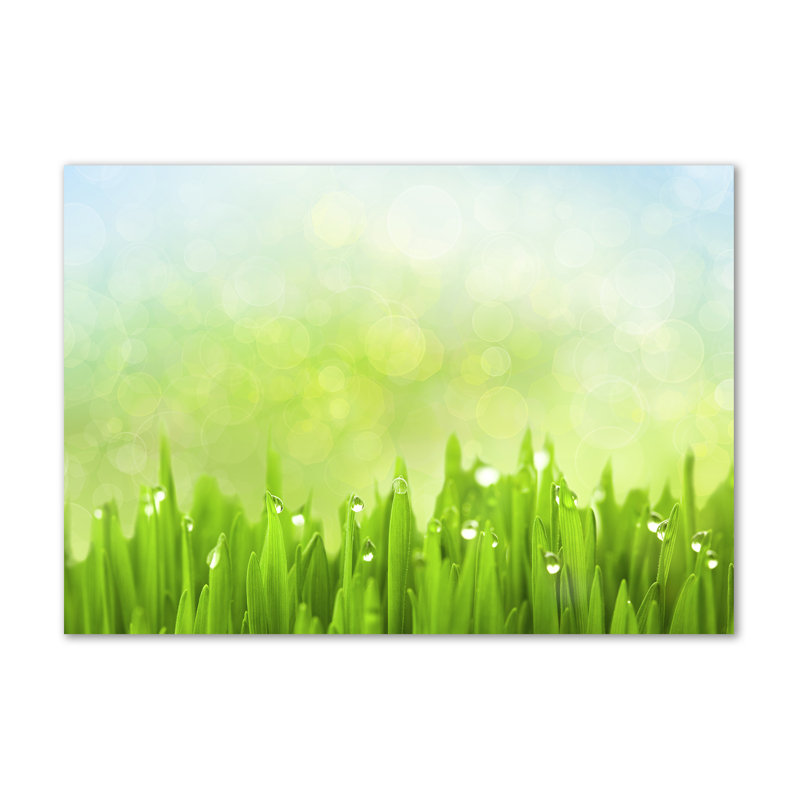 Grass - Wrapped Canvas Print