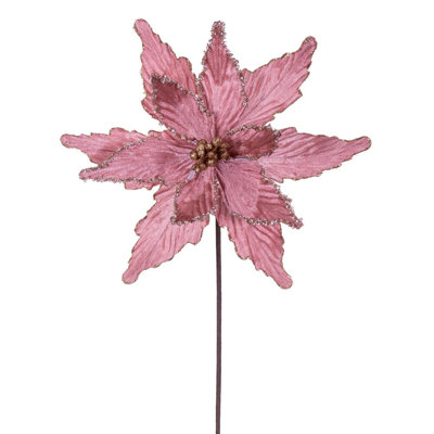 Cliffo Poinsettia Arrangement