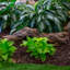Art de jardin en faux bois flottant Depalma-482692337
