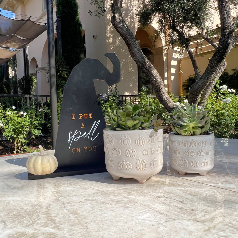 Egehan Ceramic Pot Planter