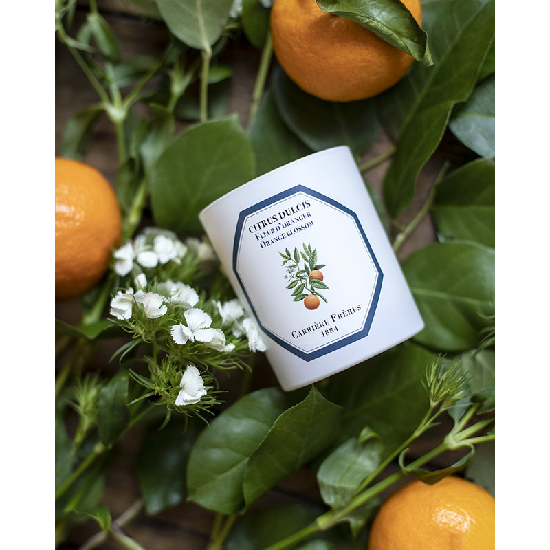 Orange Blossom Candle