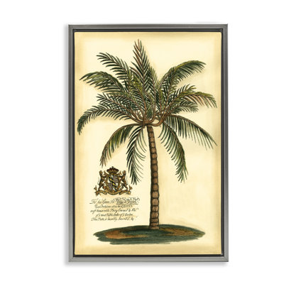 Cadre flottant British Colonial Palm, design par Vision Studio