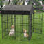 Rayne Pet Pen with Door-1569637207