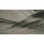 Balian Abstract Area Rug-55796220