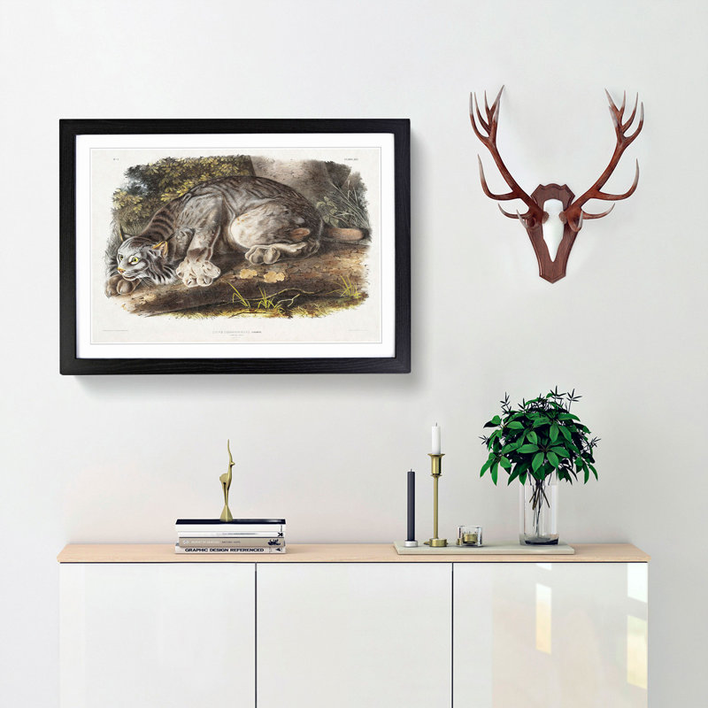 Canadian Lynx by J.W. Audubon - Picture Frame Painting Print, 48cm H x 65cm W x 2cm D, Black Framed