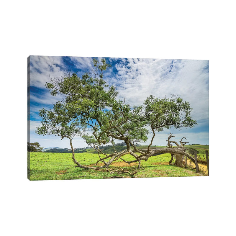 Landscape 21 - Wrapped Canvas Print, 30.48cm H x 45.72cm W x 1.905cm D