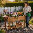 Behn Mobile Wooden Elevated Planter With Wheels