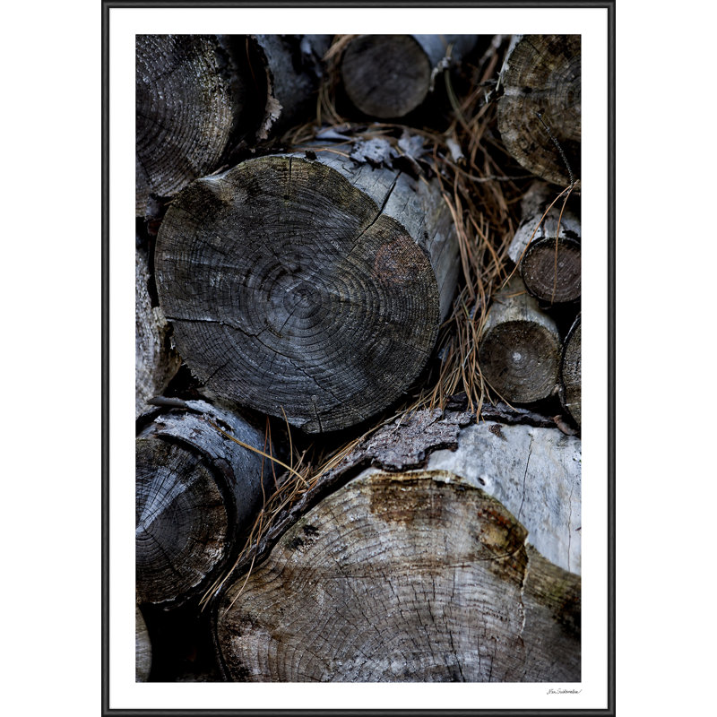 Single Picture Frame Print