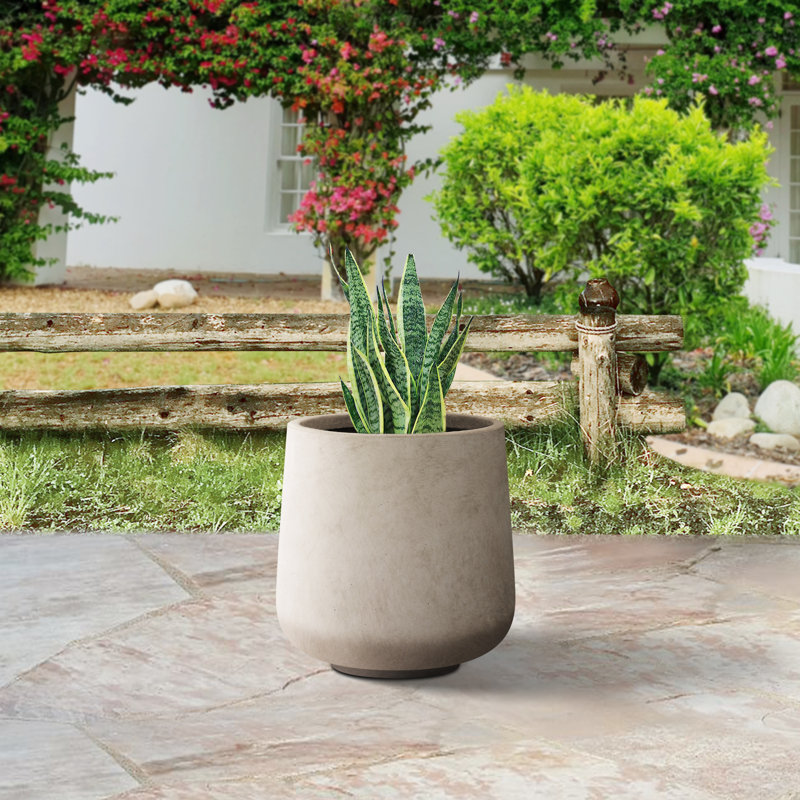 Pot à fleurs en béton Laihla, Brun, H 13,4 po x l 13 po x P 13 po