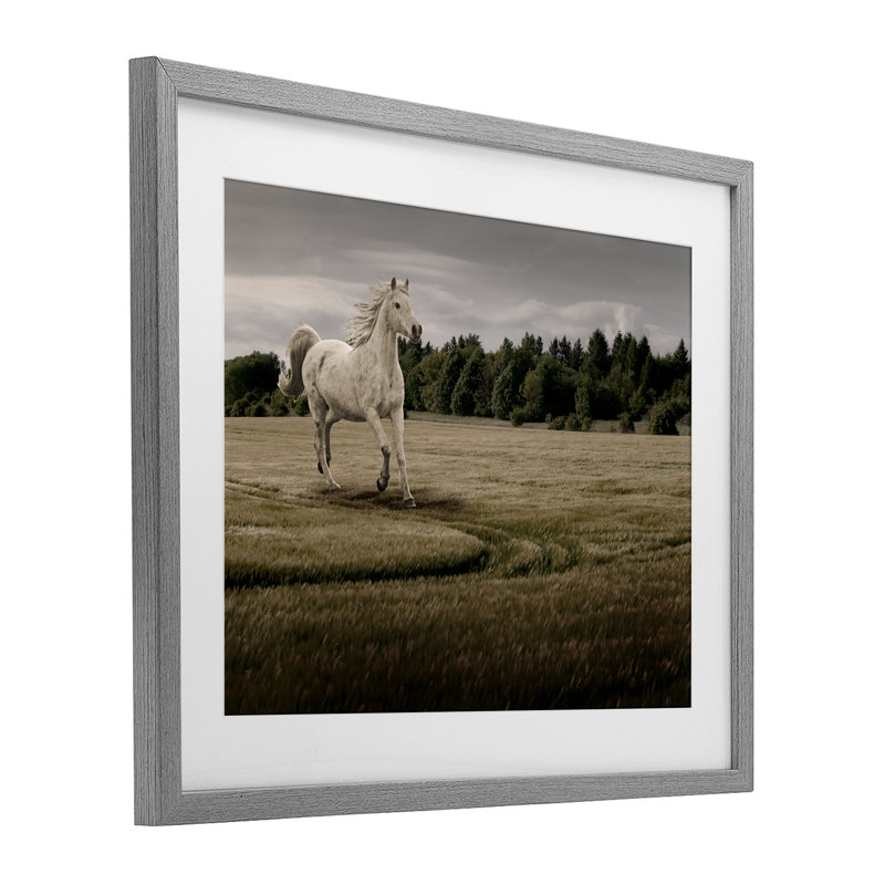 «Galloper Through Horse Field», reproduction d'art sous verre encadrée, conception de Marcus Prime, H 13 po x l 16 po