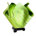 Grass Green