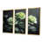 Toile avec cadre flottant or