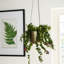 Kew Hanging Planter with Hook-900517443-900517441