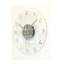 Horloge murale moderne