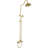 Adjustable 2-Function Shower System with Handles-126375059