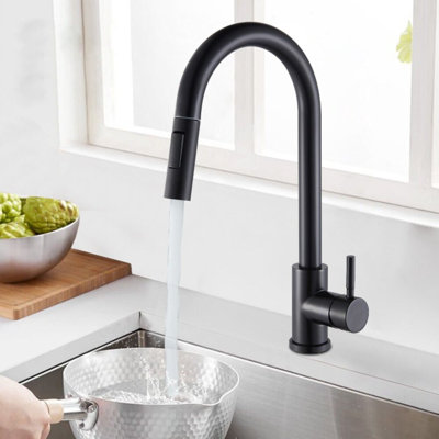 Sani Canada Pull Out Kitchen Faucet