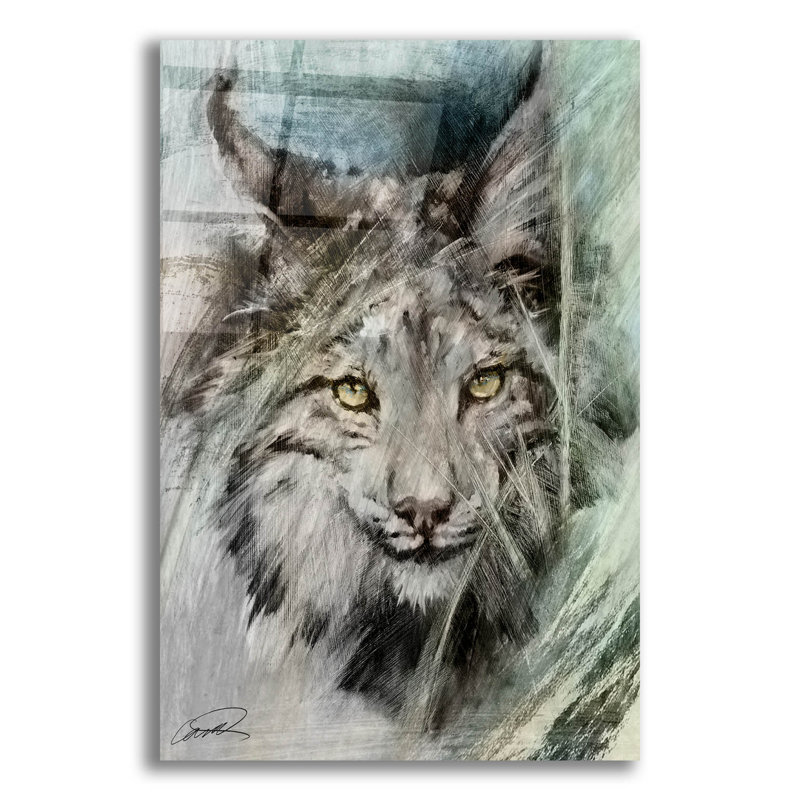 «Lynx Brushstroke» par Robert Campbell