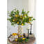 Porte-bougie D4x11