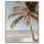 Silver Floater Frame